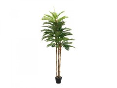 Umělá květina - Kentia palma, 180cm