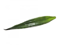 Umělá květina - Aloe list zelený, 60 cm