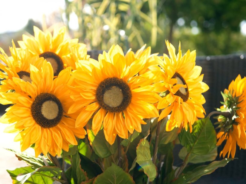 Umělá květina - Slunečnice, 70 cm