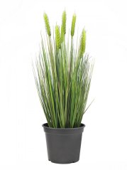 Umělá květina - Pšenice zelená v květináči, 60 cm