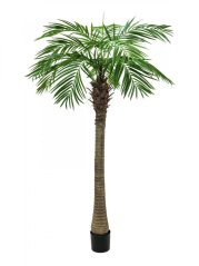 Umělá květina - Phoenix palma Luxor, 240 cm