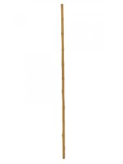 Umělá květina - Tyč bambusová, prům.3cm, délka 200cm