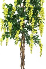 Umělá květina - Vistárie žlutá, 180 cm