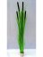 Umělá květina - Zblochan vodní, světle zelený s pupeny, 152 cm