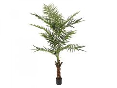 Umělá květina - Kentia palma, výška 240cm
