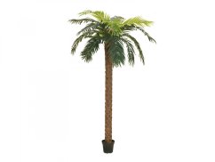 Umělá květina - Phoenix palma deluxe, 250 cm