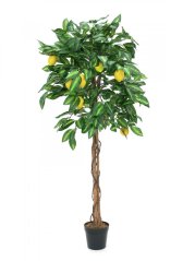 Umělá květina - Citronovník s plody, 180 cm