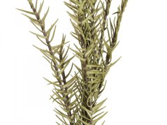 Umělá květina - Větvička rozmarýn (EVA), zelená, 120 cm
