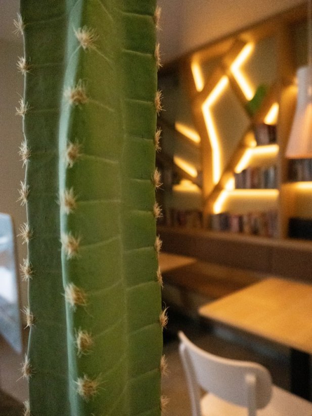 Umělá květina - Mexický kaktus zelený, 97 cm