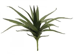 Umělá květina - Aloe vera zelená, 50 cm