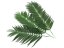 Umělá květina - Kokosový palmový list krátký, 90 cm, 12 ks