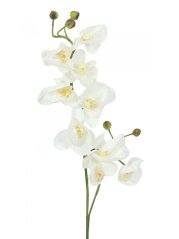 Umělá květina - Orchidej větvička, krémově-bílá, 100 cm
