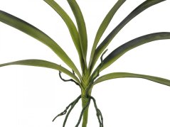 Umělá květina - Orchidej listy, zelené, 45 cm