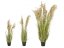 Umělá květina - Čínská stříbrná tráva, 180 cm