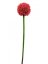 Umělá květina - Okrasný česnek červený, 55 cm