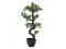 Umělá květina - Borovicová bonsai, 95cm