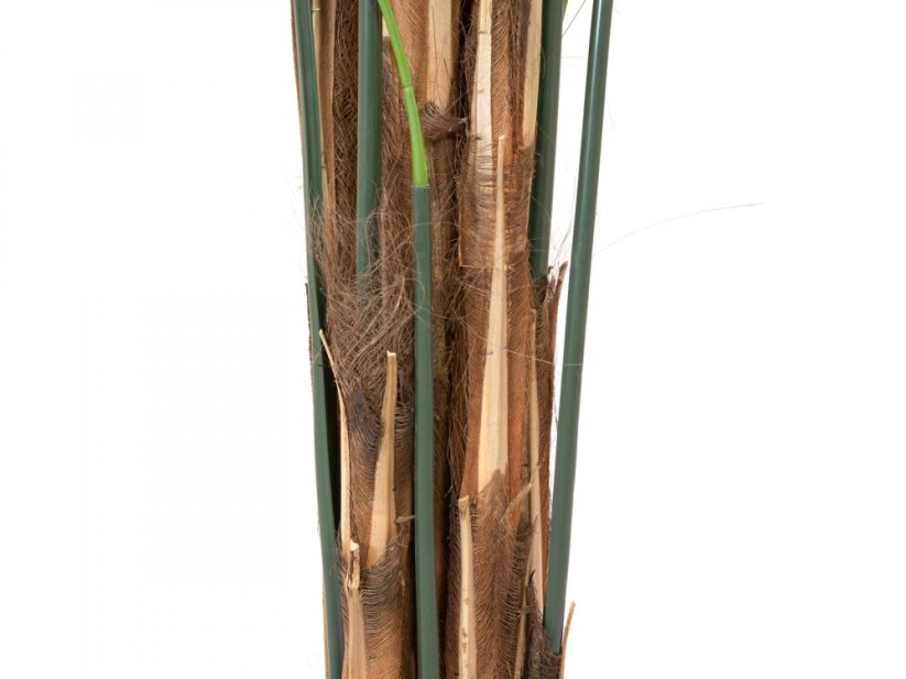 Umělá květina - Kentia palma, 300cm