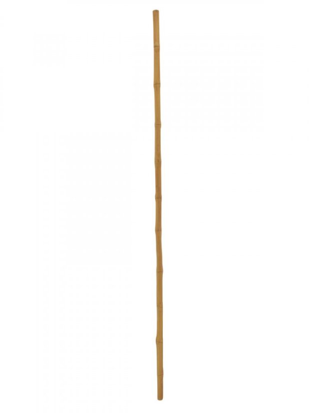 Umělá květina - Tyč bambusová, prům.3cm, délka 200cm