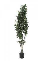 Umělá květina - Šeflera, 120 cm