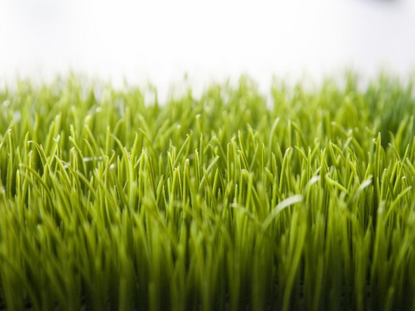 Umělá květina - Umělá tráva, světle zelená, 25 x 25 cm