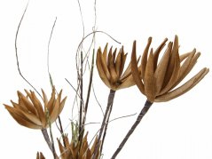 Umělá květina - Artyčok větvička(EVA), umělá, béžová, 100cm