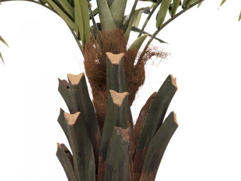 Umělá květina - Kentia  palma deluxe, 300cm