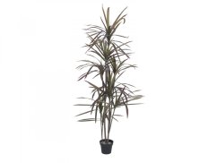 Umělá květina - Dracena, zeleno-červená, 180 cm