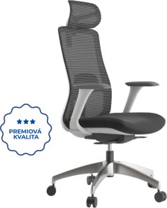 Ergonomická kancelářská židle WISDOM, šedý plast, tmavě šedá