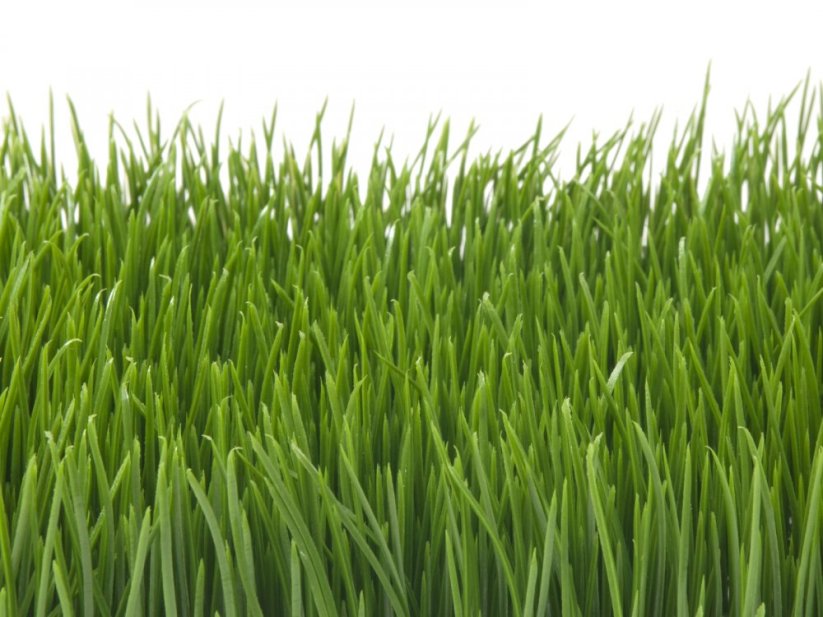 Umělá květina - Umělá tráva, světle zelená, 25 x 25 cm