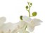 Umělá květina - Orchidej se smetanovými květy, 80 cm