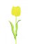 Umělá květina - Tulipán žlutý – křišťálový, 61 cm, 12 ks