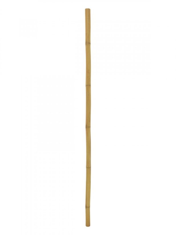 Umělá květina - Tyč bambusová, prům.5cm, délka 200cm