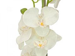 Umělá květina - Orchidej se smetanovými květy, 80 cm