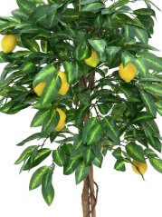Umělá květina - Citronovník s plody, 180 cm
