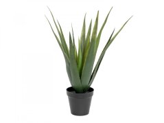 Umělá květina - Aloe-Vera rostlina, 60 cm