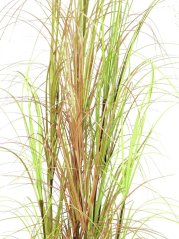 Umělá květina - Trs okrasné trávy v květináči, 150 cm
