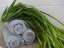 Umělá květina - Mořská tráva (EVA), zelená, 145 cm