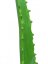 Umělá květina - Aloe vera, 63 cm