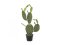 Umělá květina - Kaktus Nopal, 75cm