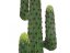 Umělá květina - Mexický kaktus zelený, 173 cm