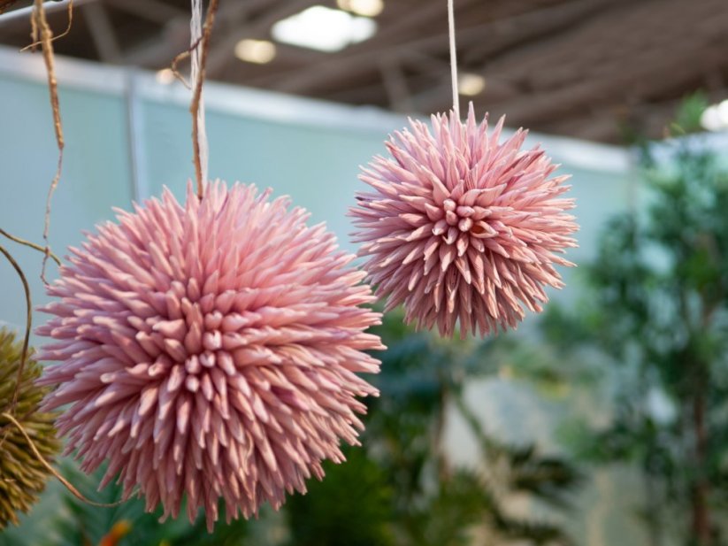 Umělá květina - Sukulent koule (EVA), růžový, 20 cm