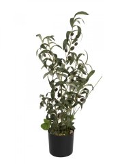 Umělá květina - Olivovník s plody, 68 cm