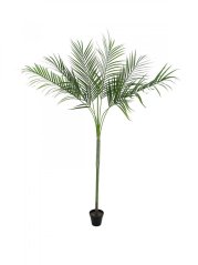 Umělá květina - Areca palma s velkými listy, 180 cm
