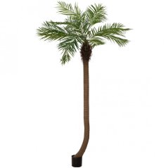 Umělá květina - Phoenix palma zakřivená, 240cm