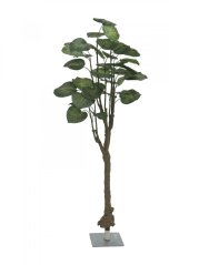 Umělá květina - Pothos stromek, 175cm