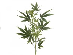 Umělá květina - Konopí, větvička, 90 cm