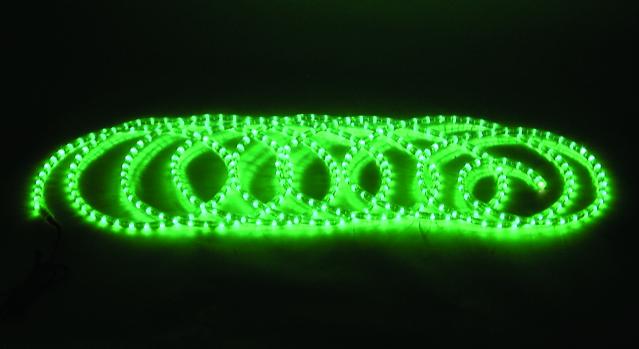 Eurolite rubberlight RL1-230V, zelený, 9m