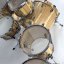 BDC Legend SE Spalted Beech Bass Drum 20x18"