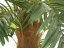 Umělá květina - Phoenix palma deluxe, 300 cm