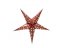 Star Lantern, papírová hvězda 50cm, červená